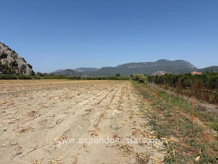 Для продажи Поле в Dalyan Ortaca - Под Поле застройку - 20.786 m²
