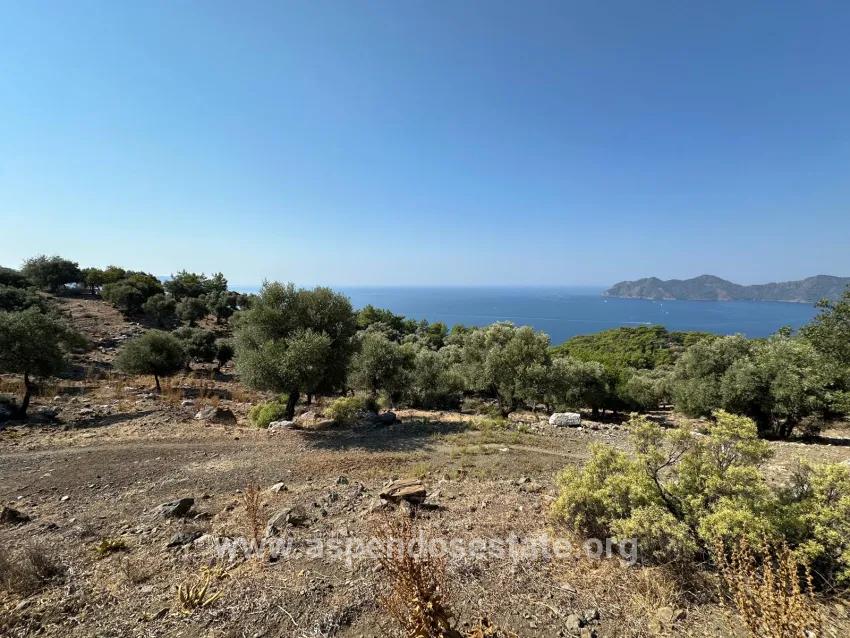 Для продажи Поле в Çandır Köyceğiz - Под Поле застройку - 21.000 m²