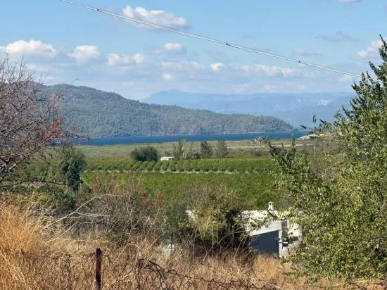 Поле площадью 5.000m2 с видом на озеро в Dalyan Karadağ продаётся
