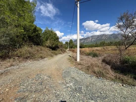 Поле Площадью 10.500 M2 Продаётся В Köyceğiz Zeytinalanı