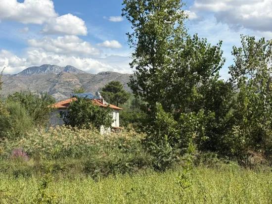 Поле Площадью 10.500 M2 Продаётся В Köyceğiz Zeytinalanı
