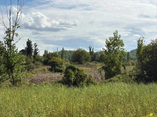 Поле Площадью 10.500 M2 Продаётся В Köyceğiz Zeytinalanı