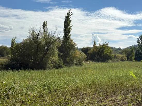 Поле Площадью 10.500 M2 Продаётся В Köyceğiz Zeytinalanı
