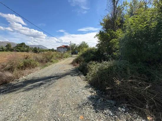 Поле Площадью 10.500 M2 Продаётся В Köyceğiz Zeytinalanı
