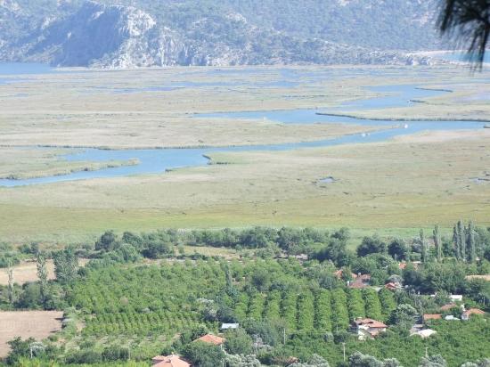 Земля 1252m2 На Продажу С Видом На Озеро В Чандыре