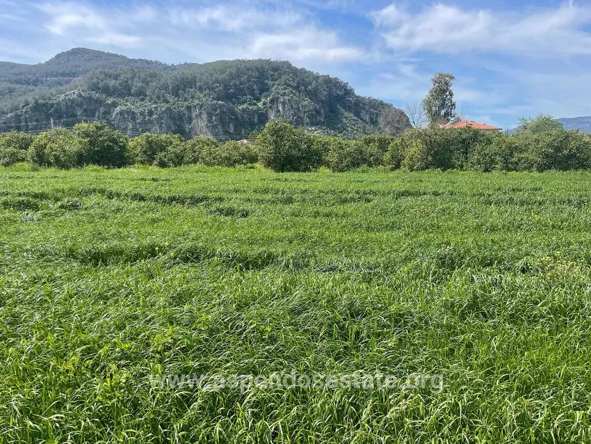 Okçular'da 736m2 Olan 250m2 İnşaat İzinli Satılık Arsa