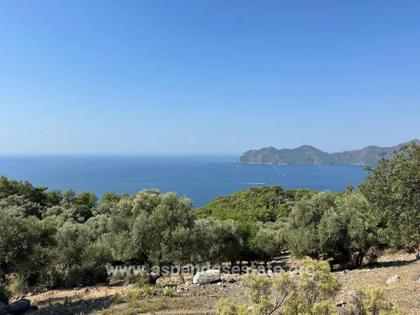 Köyceğiz Çandır Mah. Satılık Tarla - Tarla İmar Durumlu - 21.000 m²