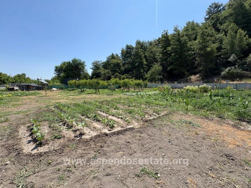 Ortaca Dalyan Mah. Satılık 2+1 Müstakil ev - 2.500 m²