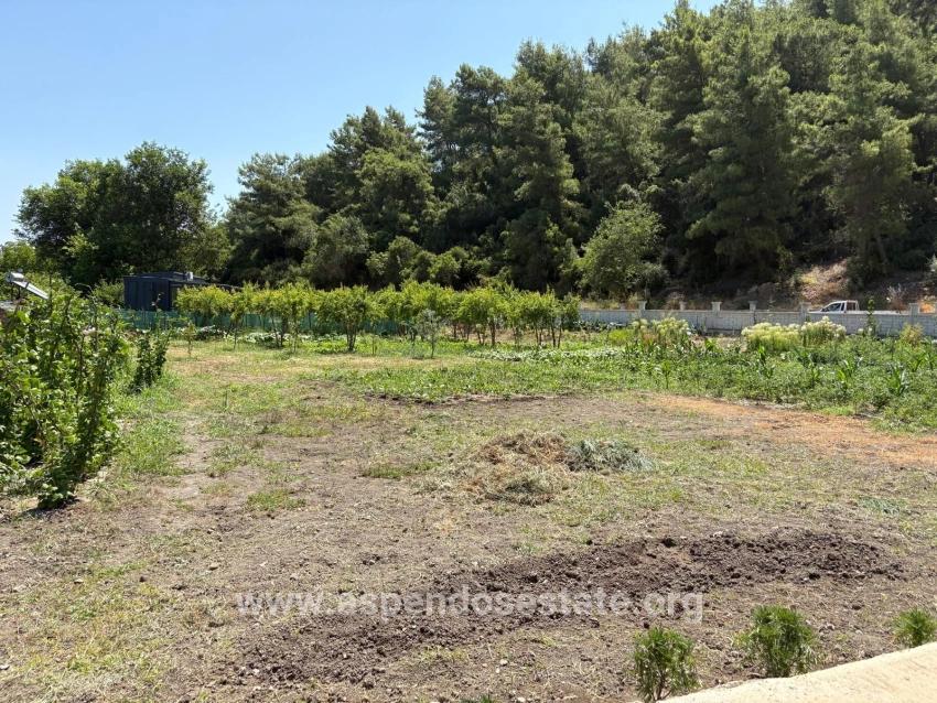 Ortaca Dalyan Mah. Satılık 2+1 Müstakil ev - 2.500 m²