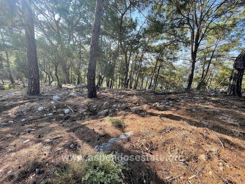Köyceğiz Çandır Mah. Satılık Tarla - Konut İmar Durumlu - 10.481 m²
