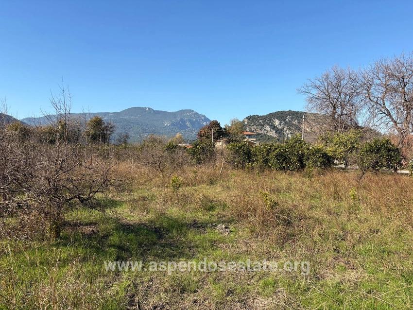Dalyan'da 4.541m2 Satılık Bahçe