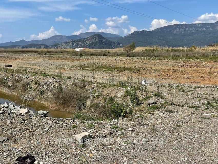 Dalyan İztuzu Plaj Yoluna Sıfır 19.600m2 Satılık Tarla