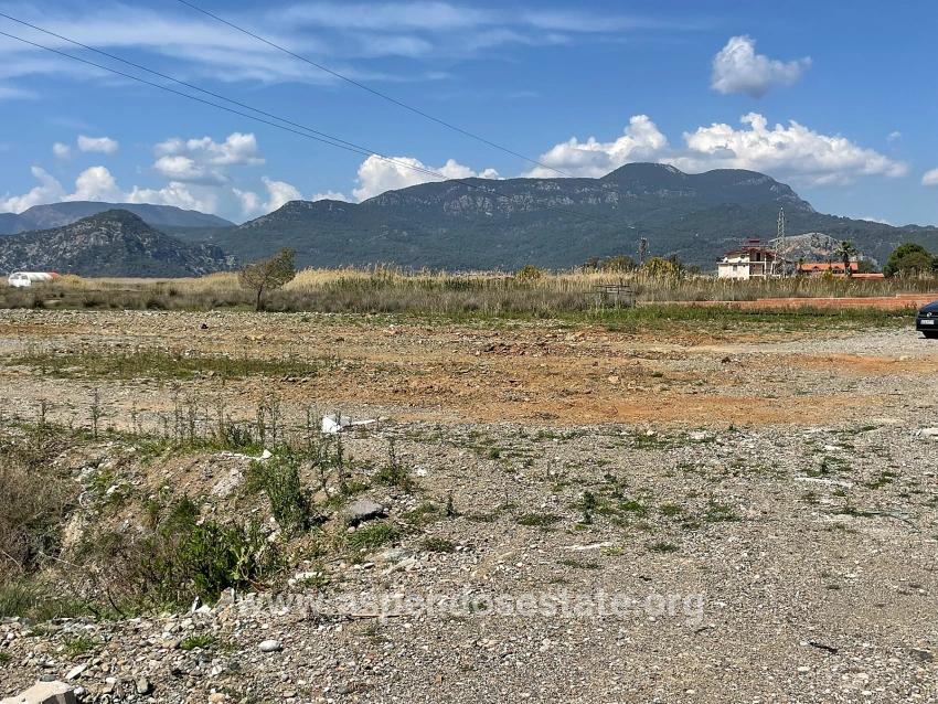 Dalyan İztuzu Plaj Yoluna Sıfır 19.600m2 Satılık Tarla