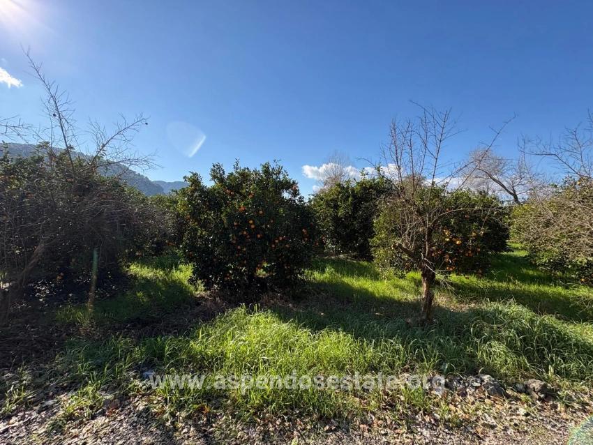 Okçular'da Yerleşik Alanında 4,326m2 Satılık Arsa