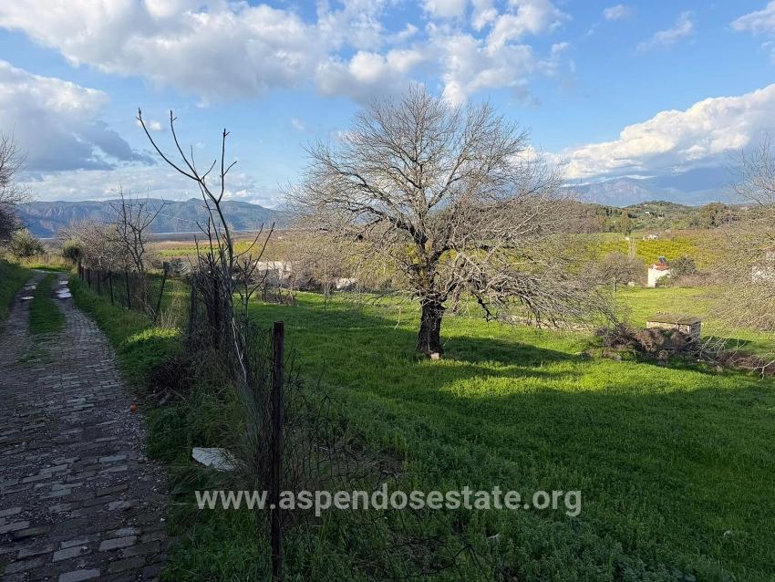 Ortaca Dalyan Mah. Satılık Tarla - Tarla İmar Durumlu - 11.230 m²