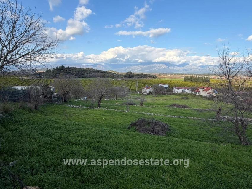 Ortaca Dalyan Mah. Satılık Tarla - Tarla İmar Durumlu - 11.230 m²