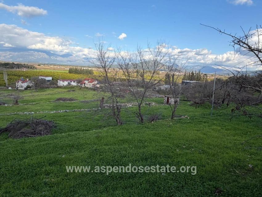 Ortaca Dalyan Mah. Satılık Tarla - Tarla İmar Durumlu - 11.230 m²