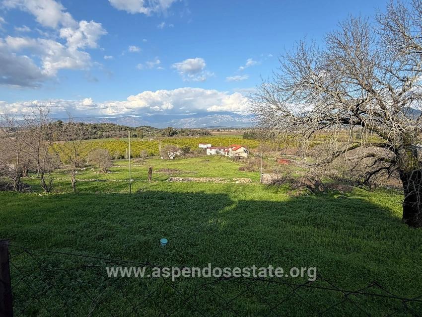 Ortaca Dalyan Mah. Satılık Tarla - Tarla İmar Durumlu - 11.230 m²