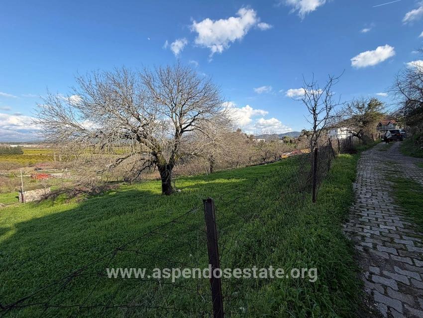 Ortaca Dalyan Mah. Satılık Tarla - Tarla İmar Durumlu - 11.230 m²