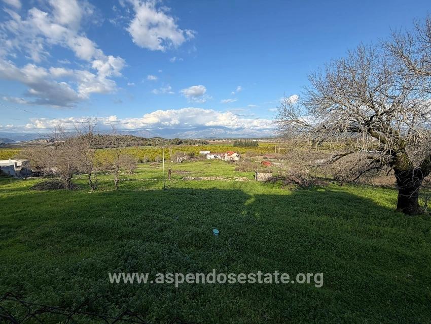 Ortaca Dalyan Mah. Satılık Tarla - Tarla İmar Durumlu - 11.230 m²