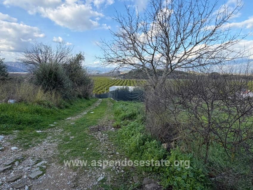 Ortaca Dalyan Mah. Satılık Tarla - Tarla İmar Durumlu - 11.230 m²