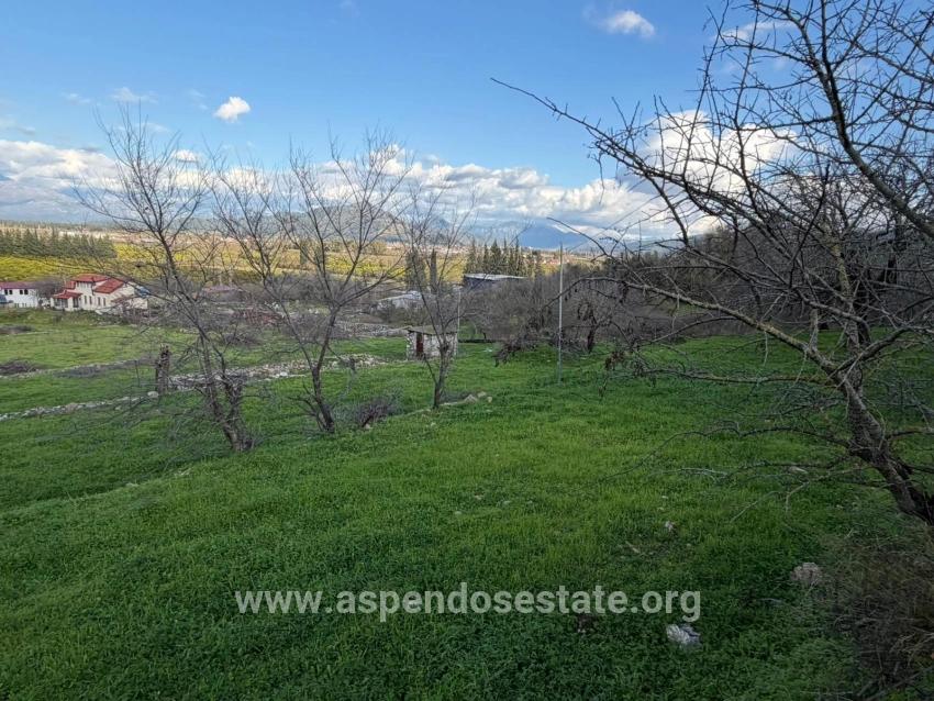 Ortaca Dalyan Mah. Satılık Tarla - Tarla İmar Durumlu - 11.230 m²