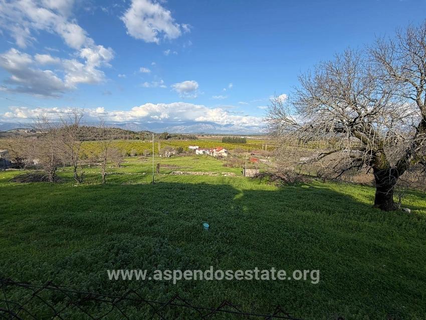 Ortaca Dalyan Mah. Satılık Tarla - Tarla İmar Durumlu - 11.230 m²