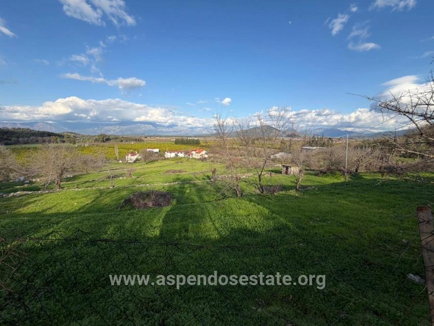 Ortaca Dalyan Mah. Satılık Tarla - Tarla İmar Durumlu - 11.230 m²