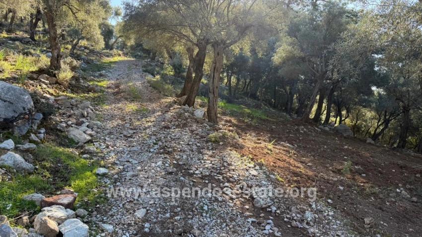 Çandır'da Full Deniz Manzaralı 5715m2 Satılık 2b Tarla