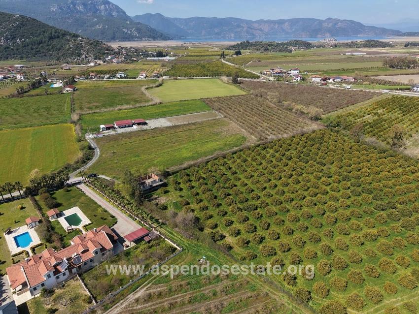 Dalyan Merkeze Yakın 17.550m2 Satılık Bağ-bahçe