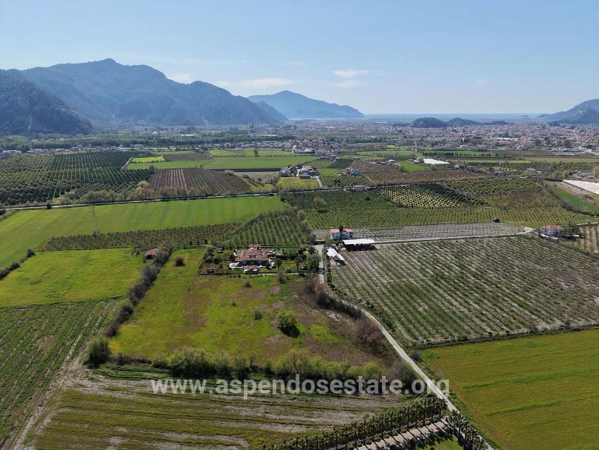 Dalyan Merkeze Yakın 17.550m2 Satılık Bağ-bahçe