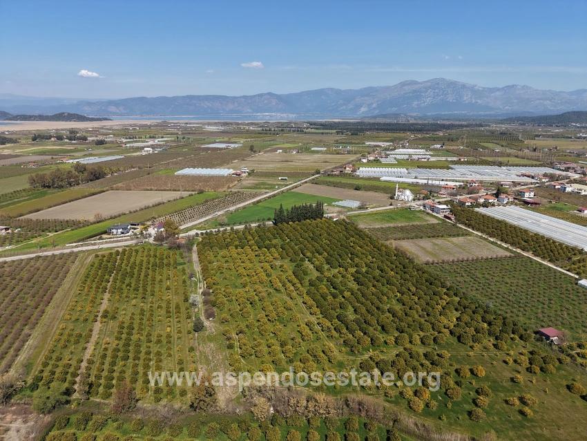 Dalyan Merkeze Yakın 17.550m2 Satılık Bağ-bahçe