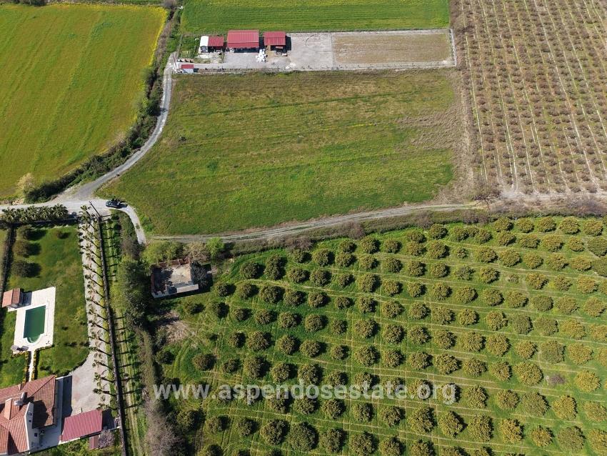Dalyan Merkeze Yakın 17.550m2 Satılık Bağ-bahçe