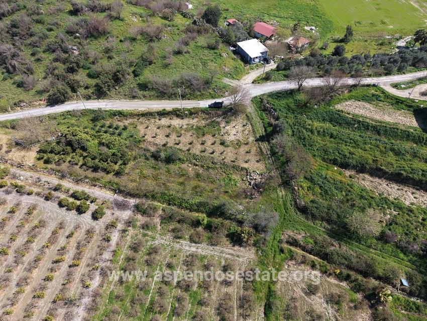 Eskiköy'de Göl Manzaralı 16.710m2 Satılık Nar Bahçesi
