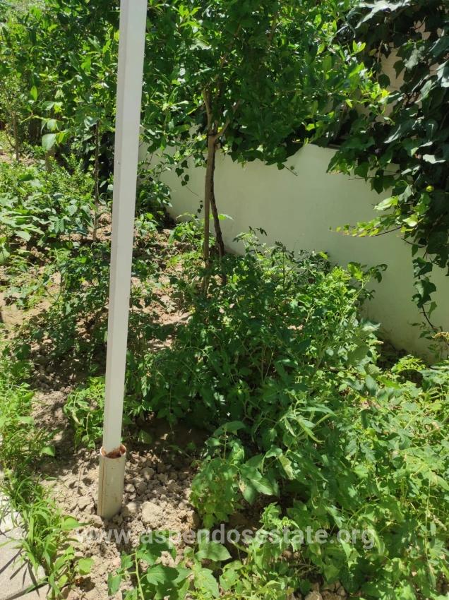 Dalyan Gülpınar'da Köşebaşı 545m2 Arsa İçinde Satılık 4+1 Villa