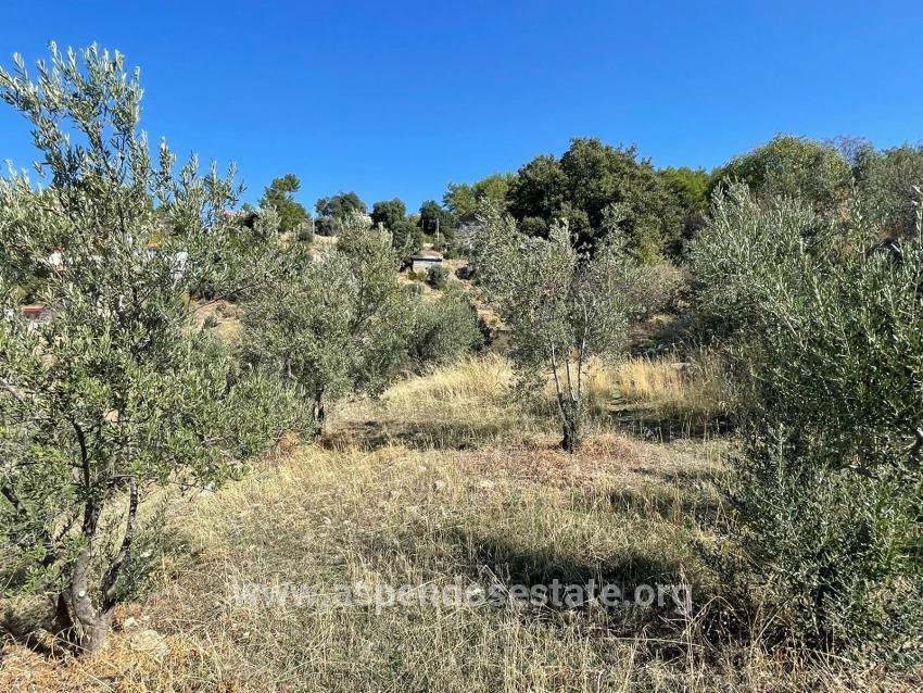 Gökbel'de Full Deniz Manzaralı 3514m2 Satılık Arsa