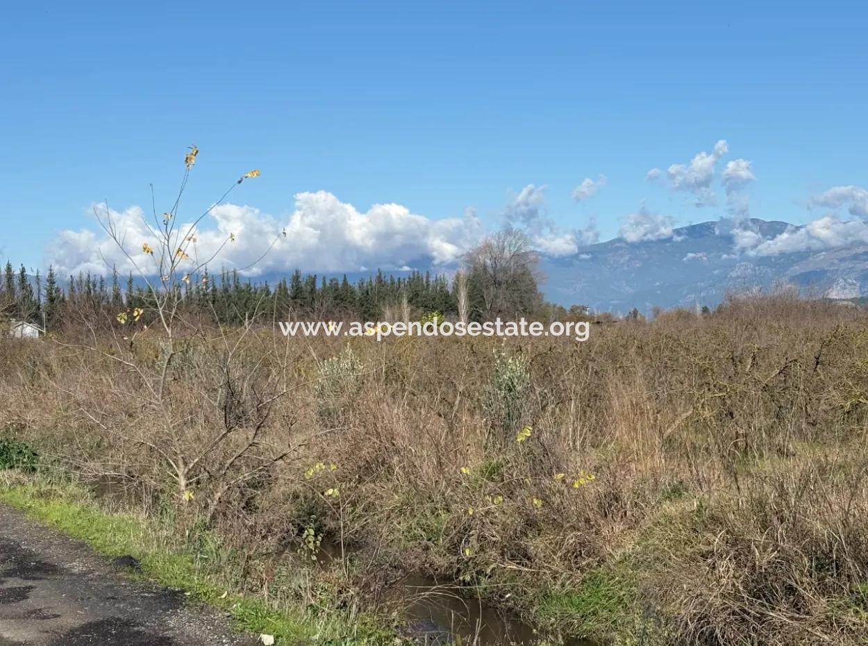 Tepearasın'da 23,000M2 Müstakil Satılık Tarla Bahçe