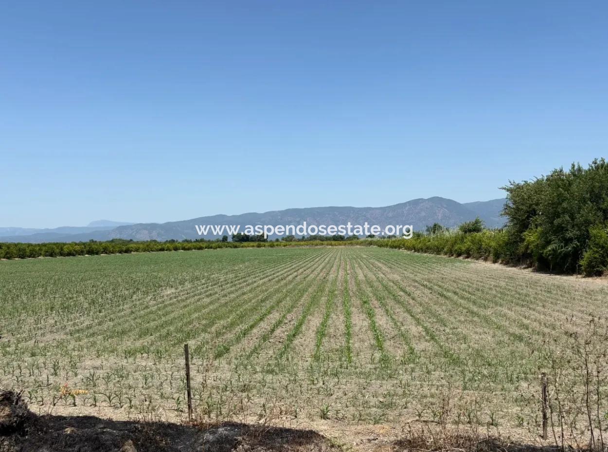 Tepearası'nda 46,550M2 Satılık Tarla