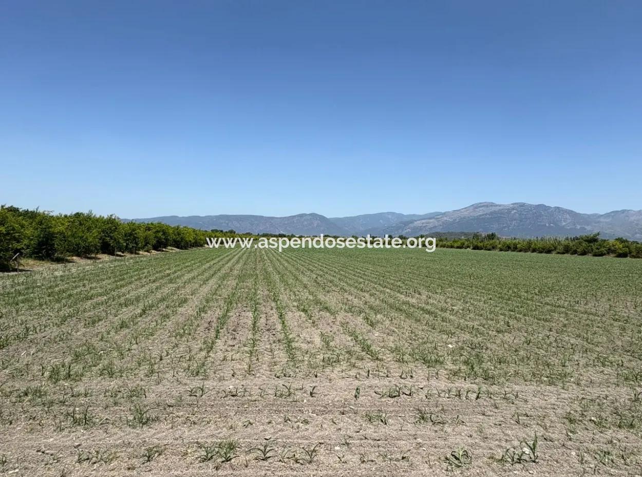 Tepearası'nda 46,550M2 Satılık Tarla