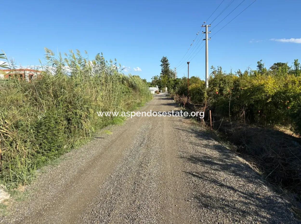 Ortaca Yeşilyurtda 3900M2 Satılık Arsa