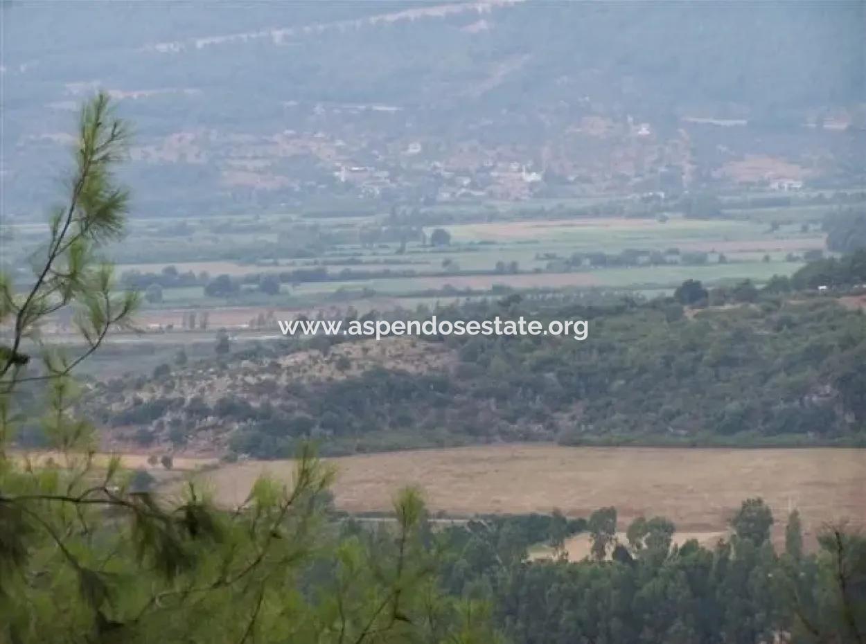 Gökçe Satılık Arsa Gökçe 21671M2 Satılık Tarla