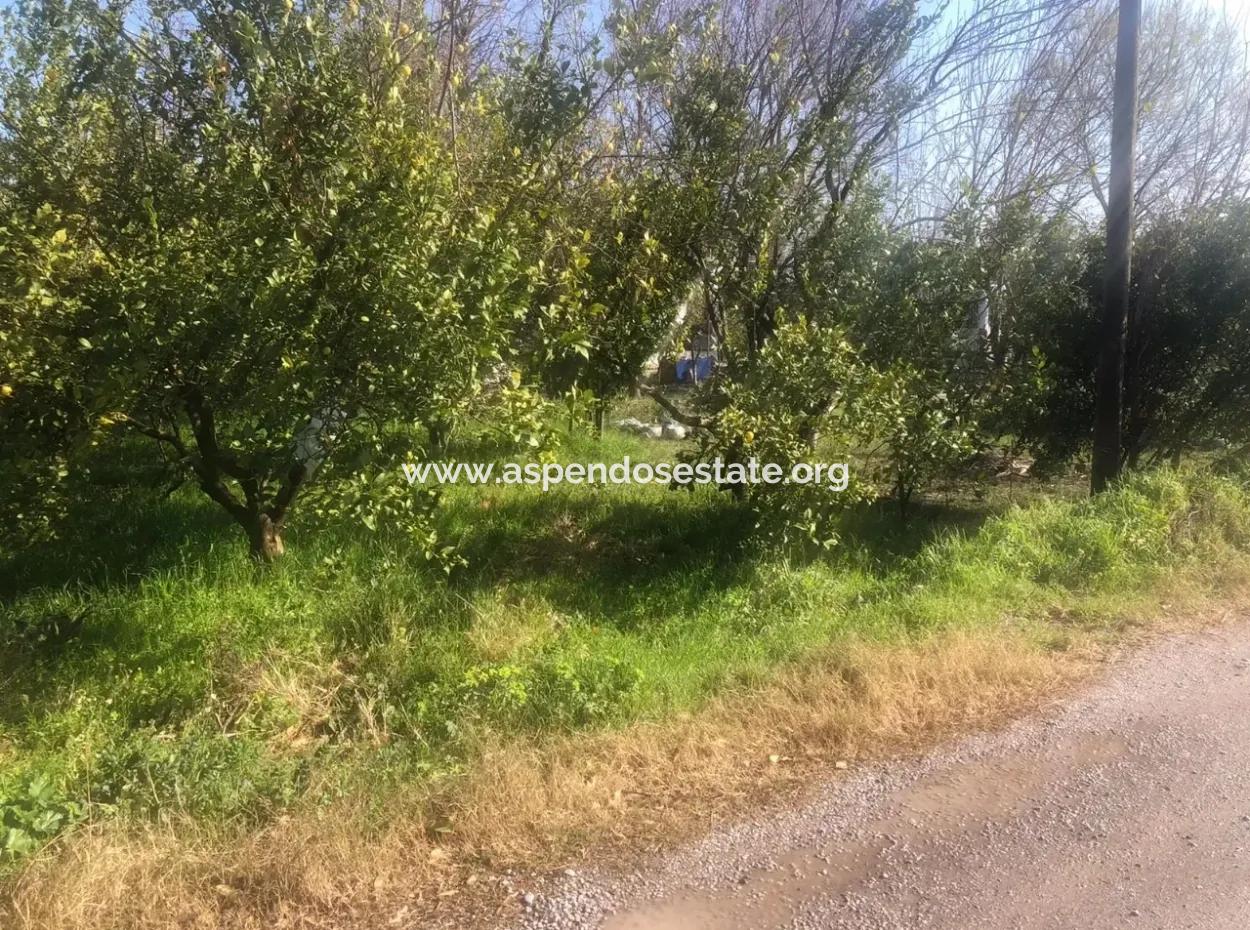 Akıncıda Satılık Arsa 803M2  İmarlı  Satılık Arsa