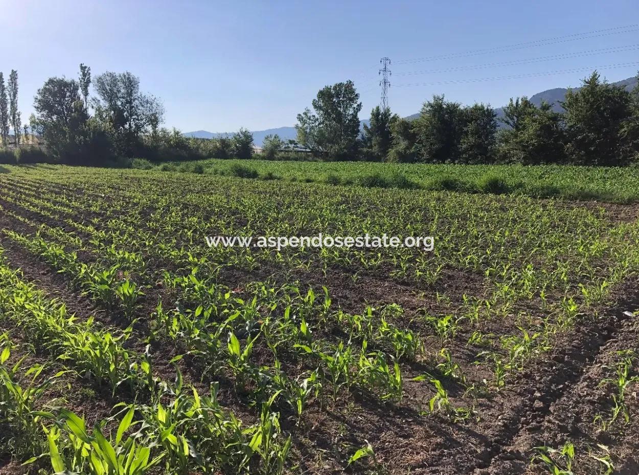 Dalyan Satılık Arsa Dalyan 2200M2 Satılık Arsa