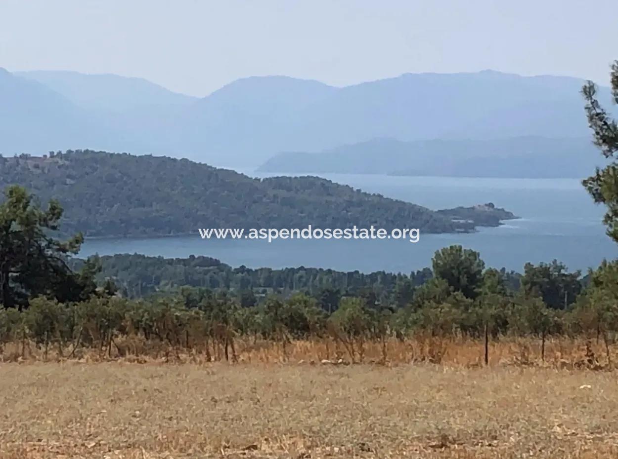 Köyceğiz Zeytinalanı'nda Göl Manzaralı 11.227M2 Satılık Arsa