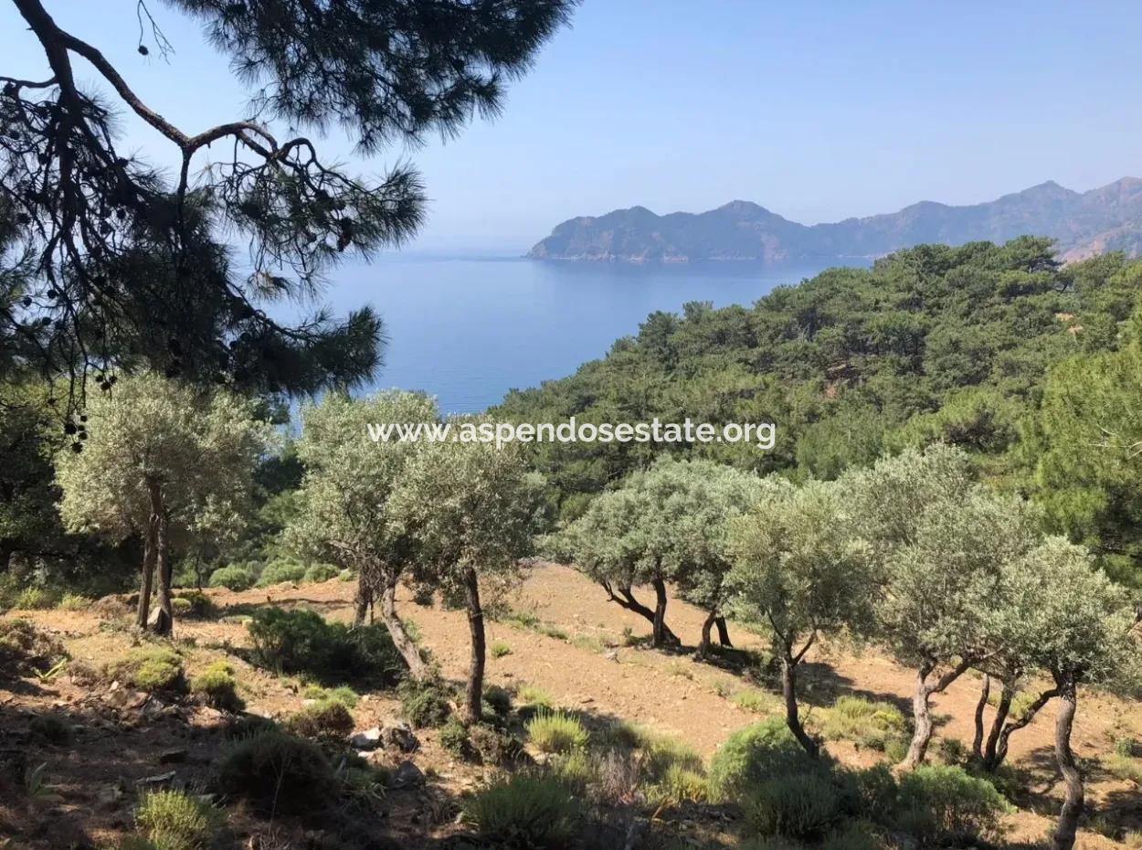 Çandır'da Deniz Manzaralı 7034M2 Satılık Tarla