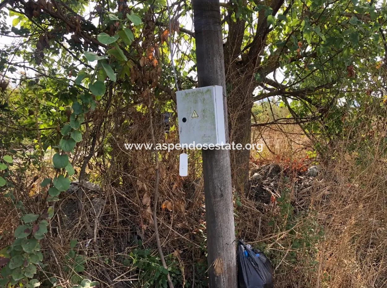 Esköyde Satılık Tarla Arsa 8500M2 Satılık Tarla Arsa