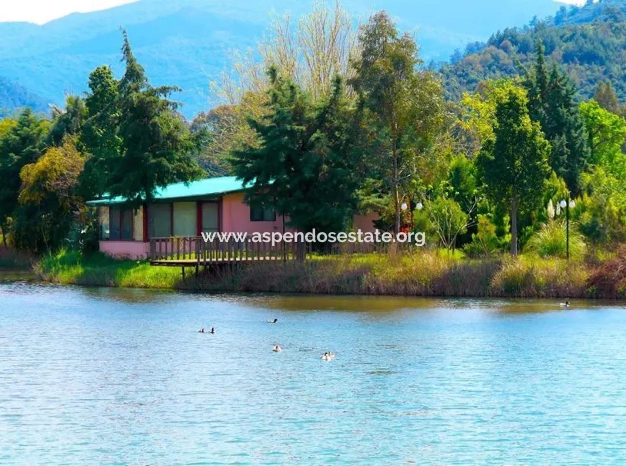 Çamlıda Satılık Arsa Arazi Marmaris Çamlıda Deniz Manzaralı 11720M2 Satılık Arsa