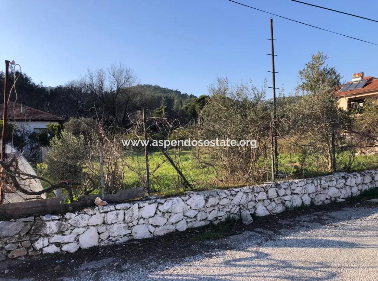 Ula Sarayyanı'nda 777M2 Satılık Arsa