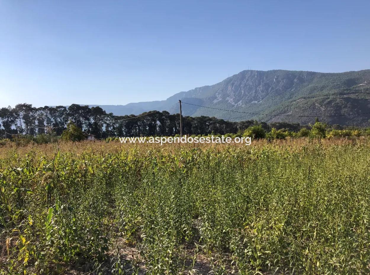 Akçapınarda Satılık Tarla 100 Dönüm Satılık Tarla