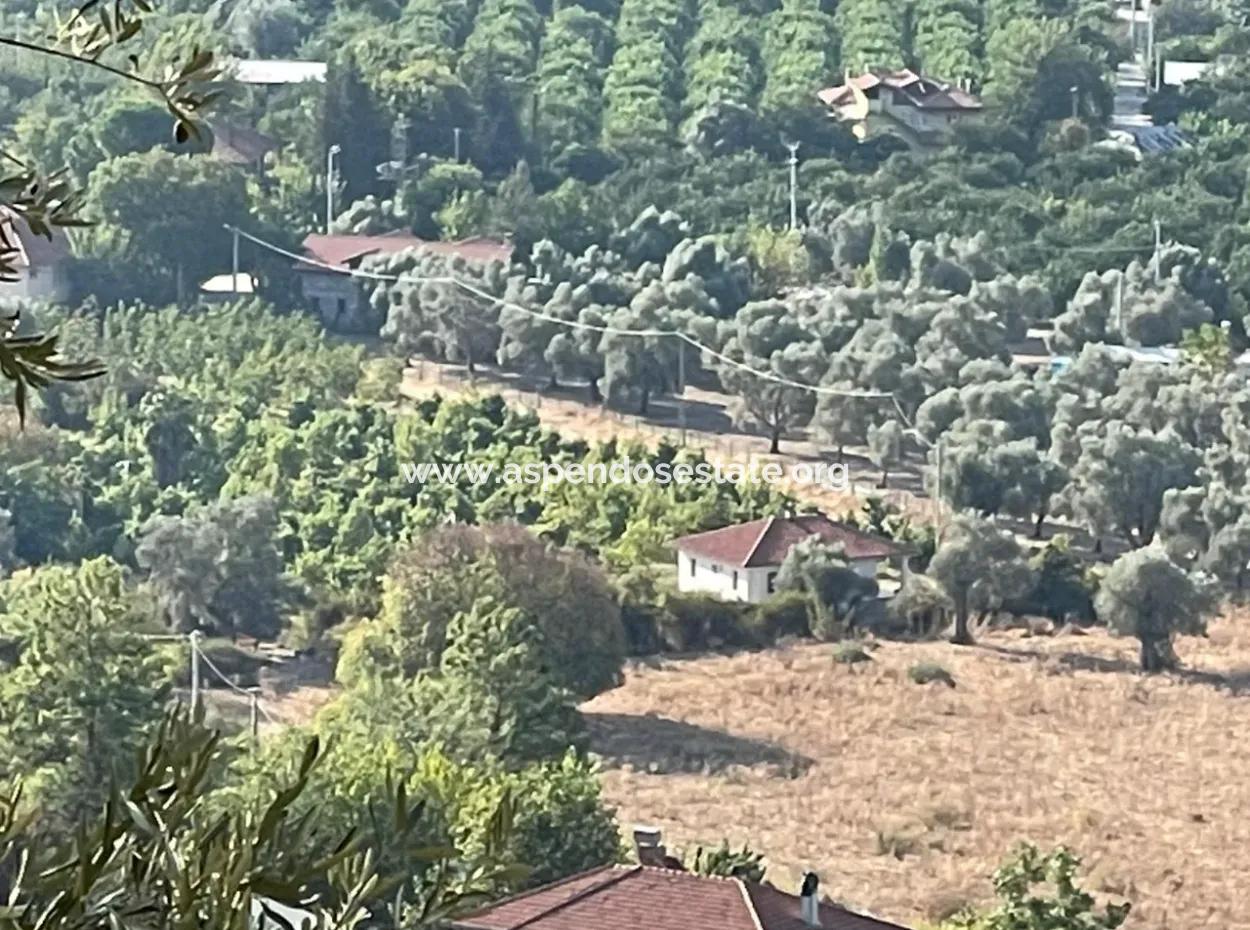 Çandır 3,800M2 Satılık Arsa